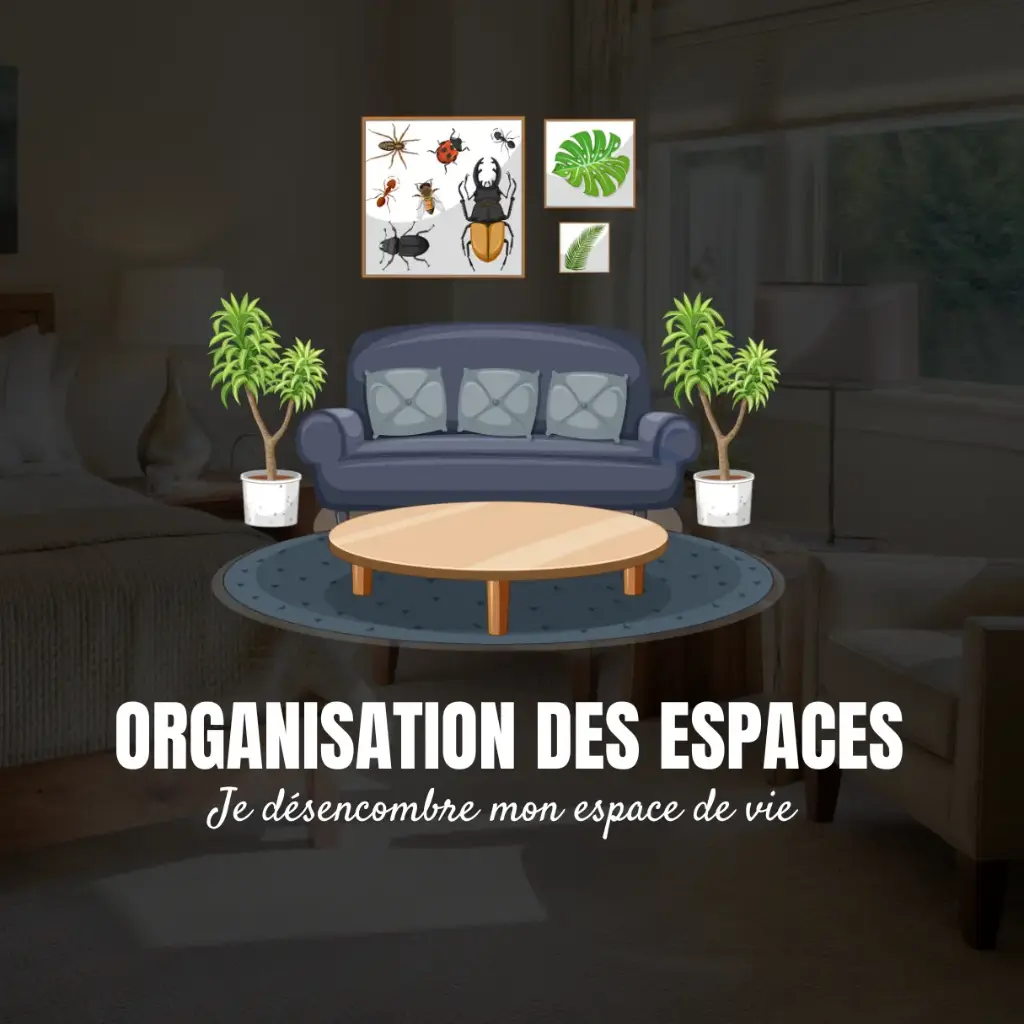 02 au 8 Juin 2025 -Je désencombre mon espace de vie