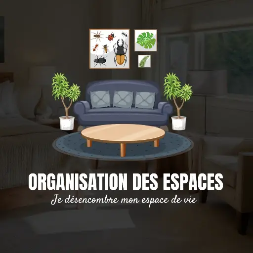 [Chall-3] 02 au 8 Juin 2025 -Je désencombre mon espace de vie